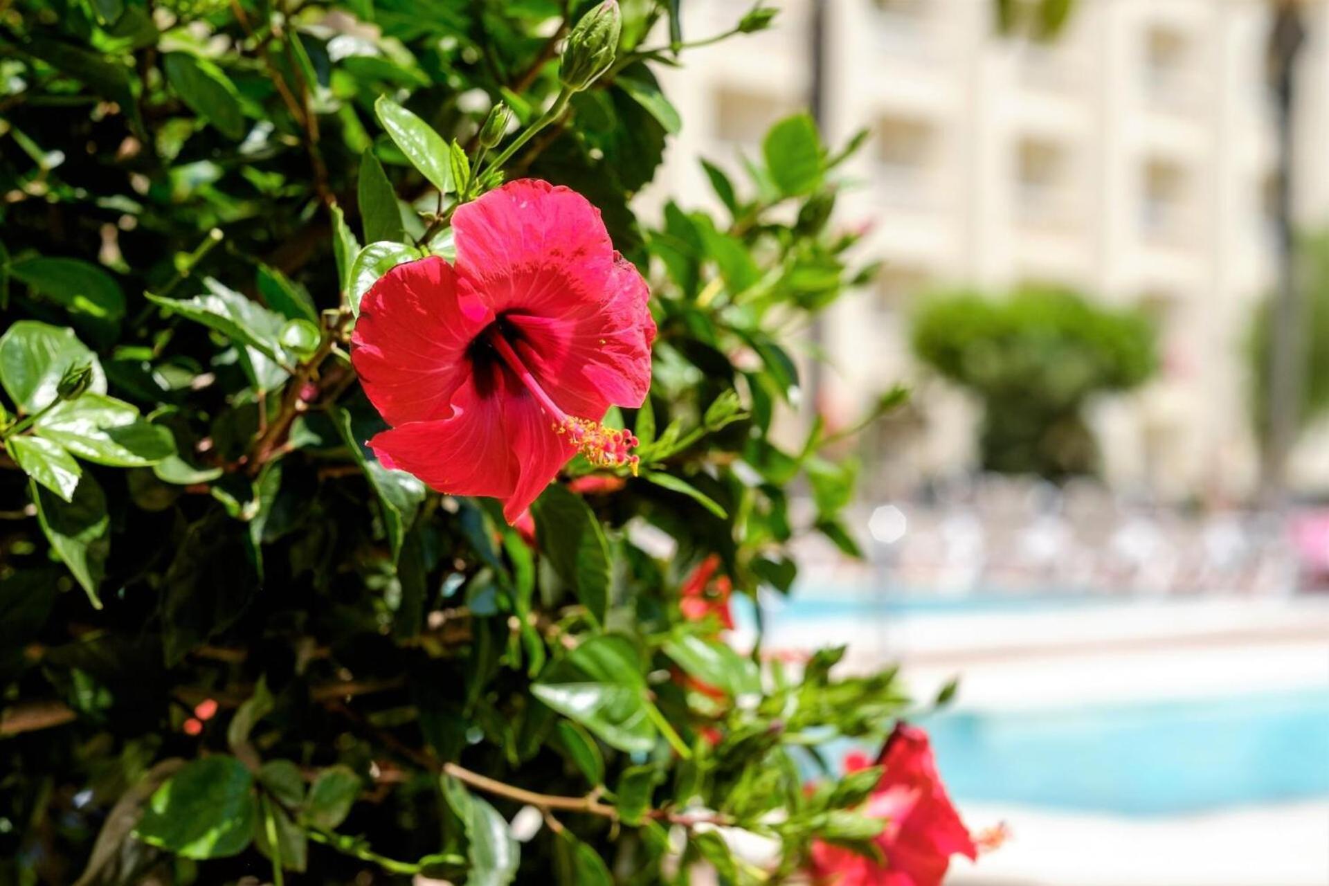 Hotel Moon Dreams Portomagno اغوادولس المظهر الخارجي الصورة